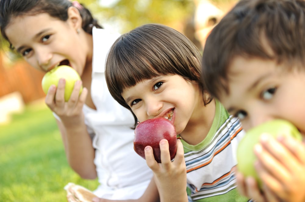 Small group of children eating apples together, shallow DOF Small group of children eating apples together, shallow DOF